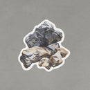 ポストカード(岩)