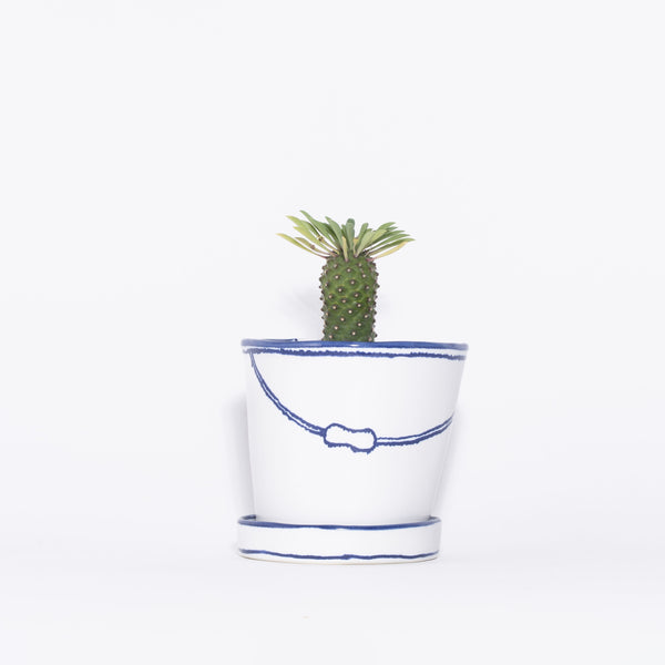 特集_Marianne Hallberg_バケツの植木鉢