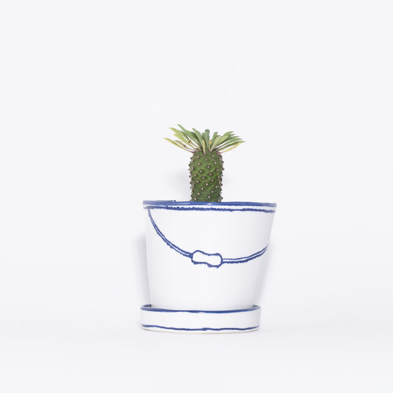 特集_Marianne Hallberg_バケツの植木鉢