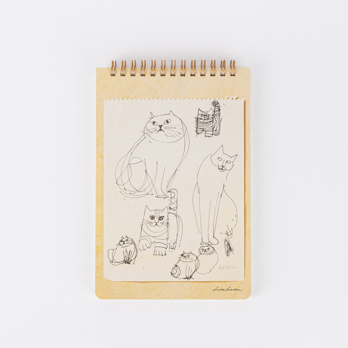 スケッチブック（Found Cats Series）