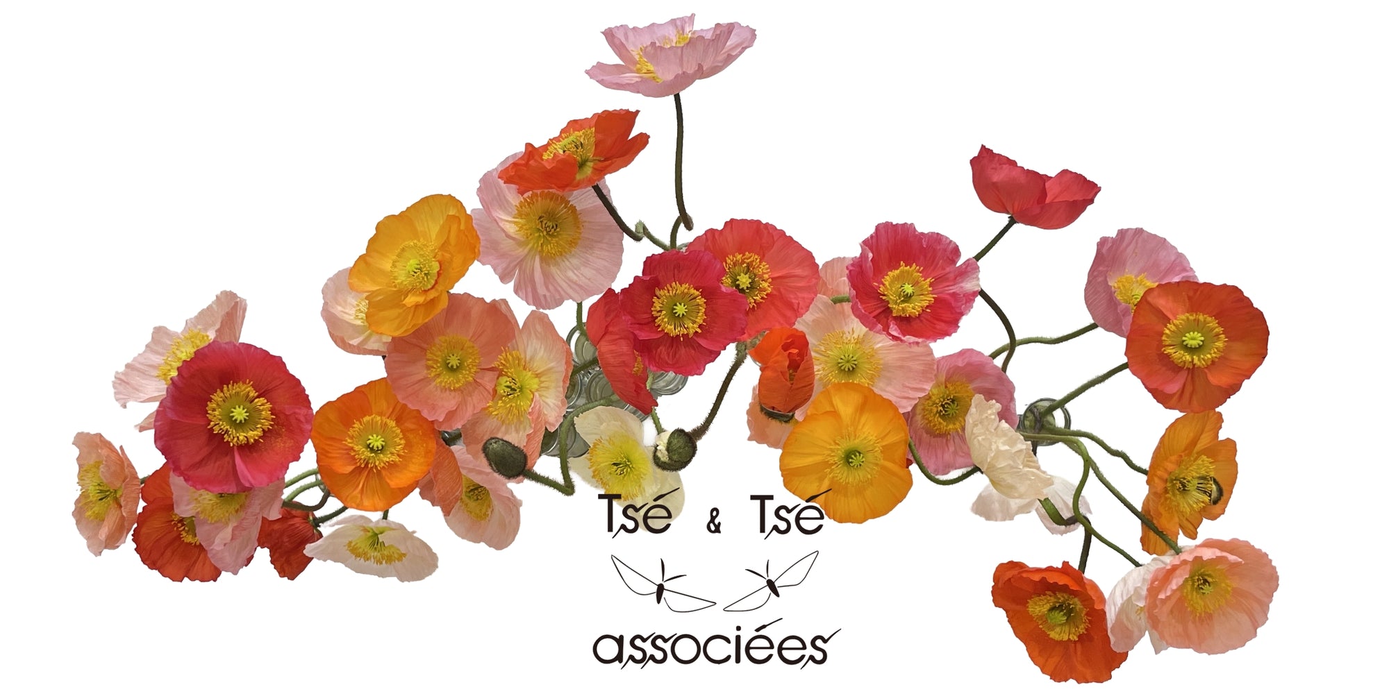 Tsé&Tsé Associées（ツェツェ・アソシエ）｜伝説のデザインユニット
