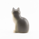 mulle培養基（灰色）