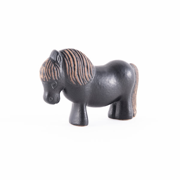 クロのお兄さんポニーさん