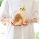 mulle培養基（黑色1）