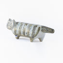 斯托拉動物園貓站立