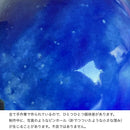 Shingen Tanuki（Shigaraki Blue）