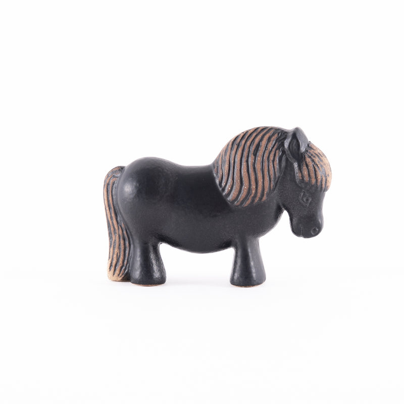 クロのお兄さんポニーさん