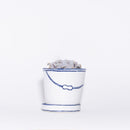 バケツの植木鉢（単体植え・クリスペートビューティー）(seto)