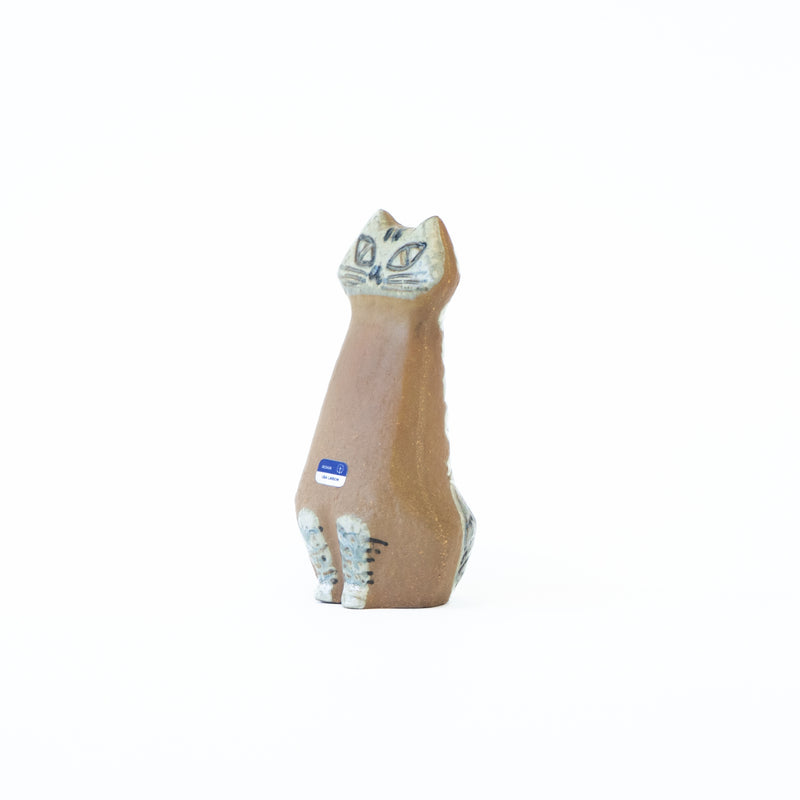 Lilla zoo Cat sitting