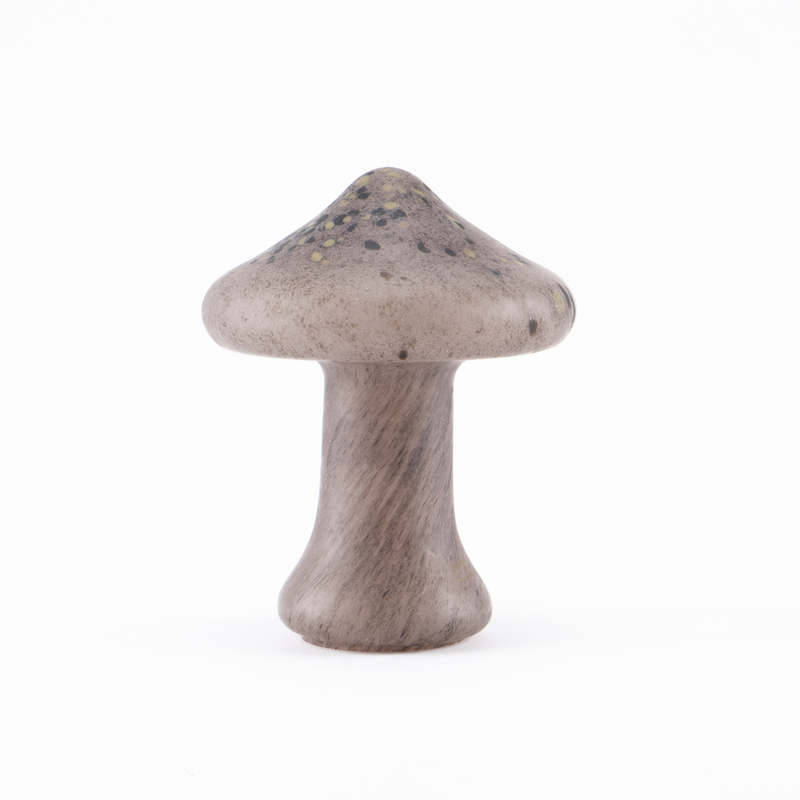[蘑菇]fjällskivling