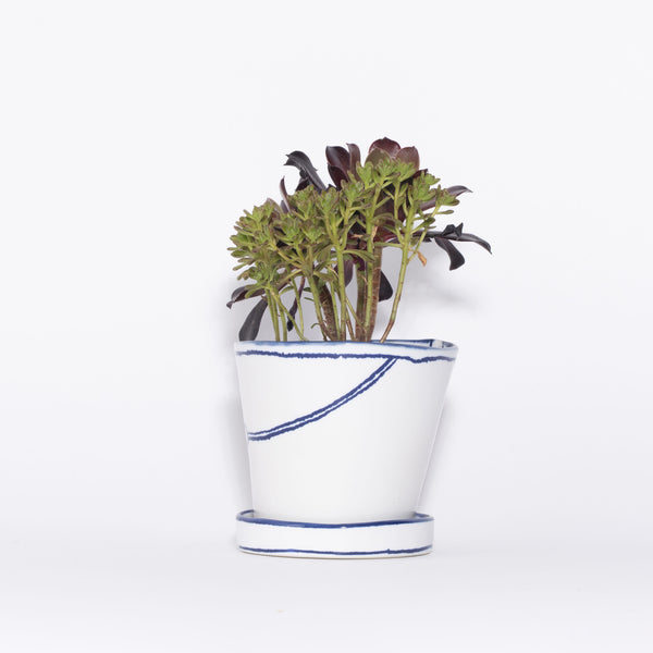 特集_Marianne Hallberg_バケツの植木鉢