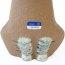 莉拉動物園貓坐著