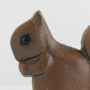 諾亞的方舟松鼠