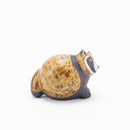 Shinjutanuki（Shigaraki Ware）