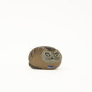 莉拉動物園貓說謊