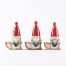 米薩魯 /伊朗 /聖誕老人套裝