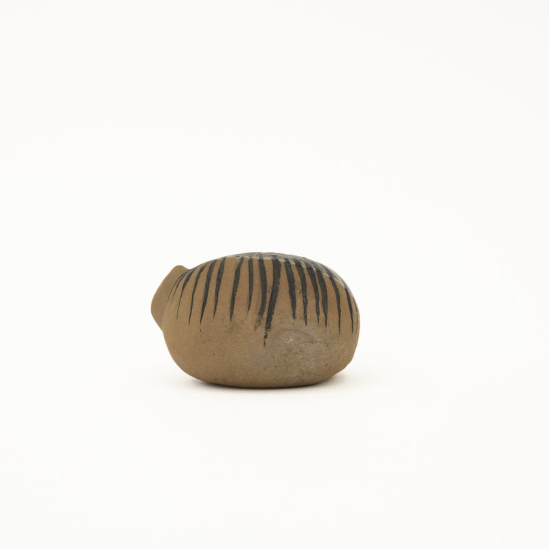 莉拉動物園貓說謊