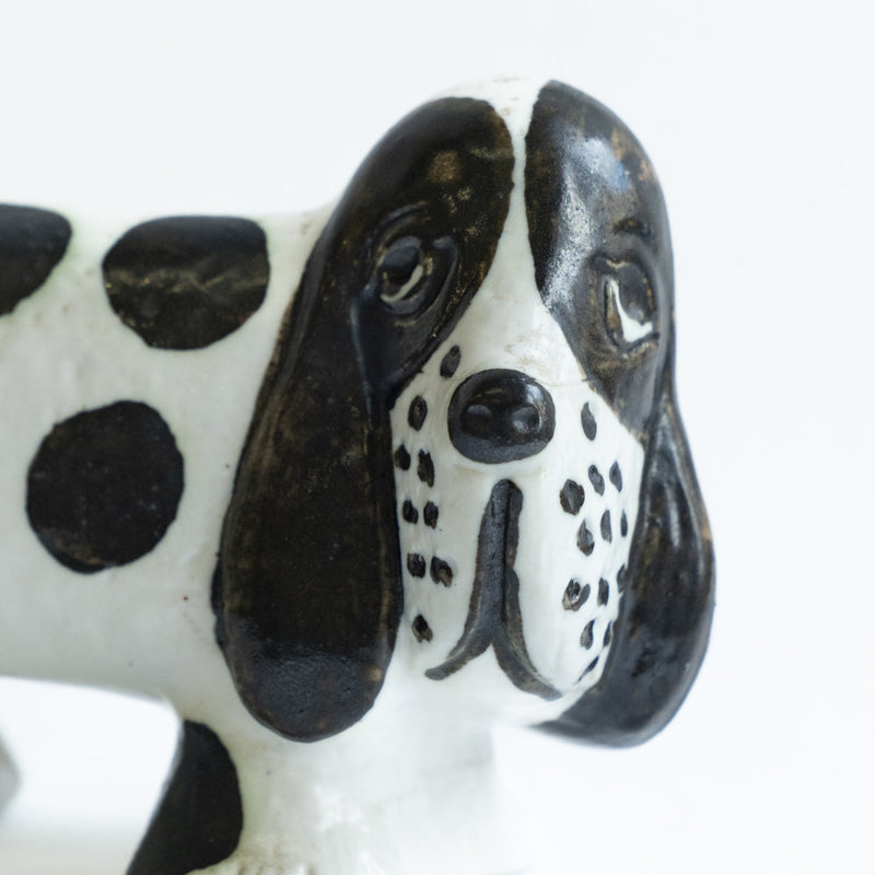 KENNEL Spaniel spotted