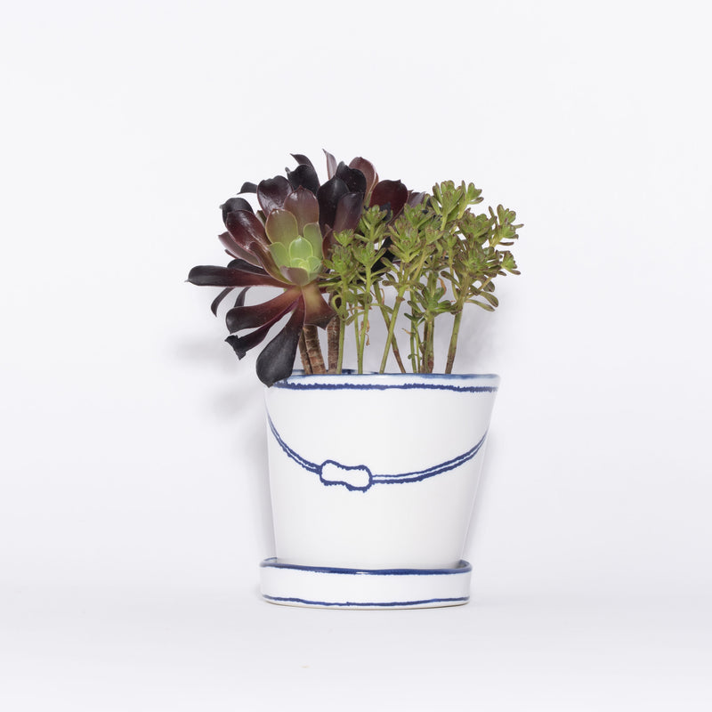 特集_Marianne Hallberg_バケツの植木鉢