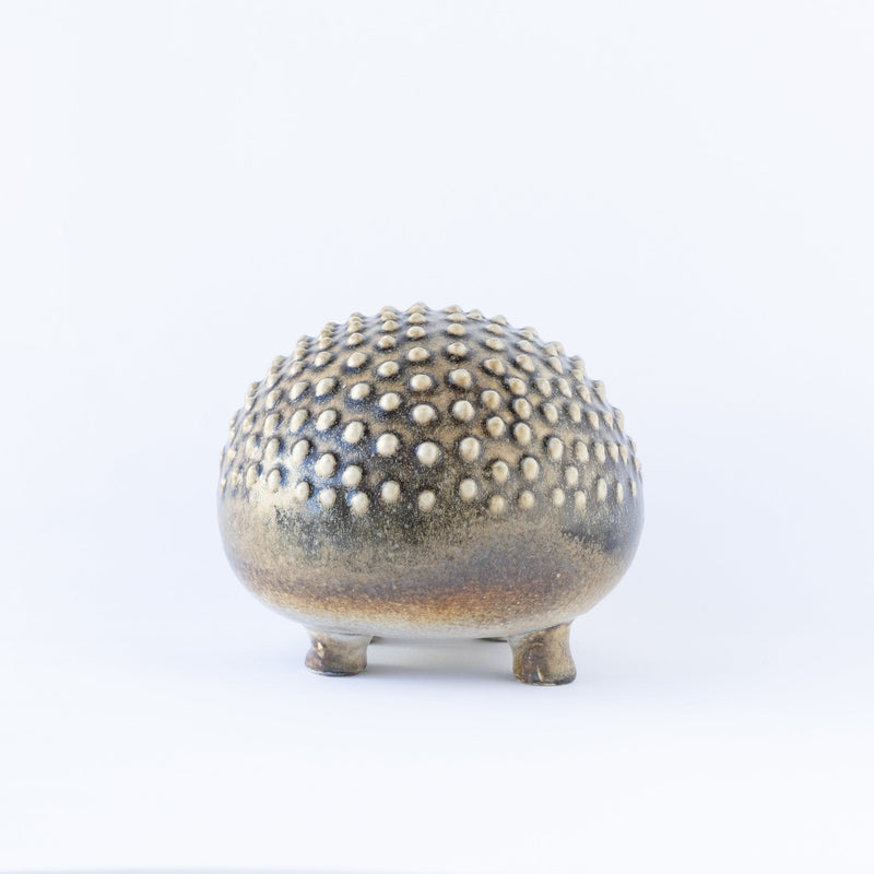 WWF Hedgehog
