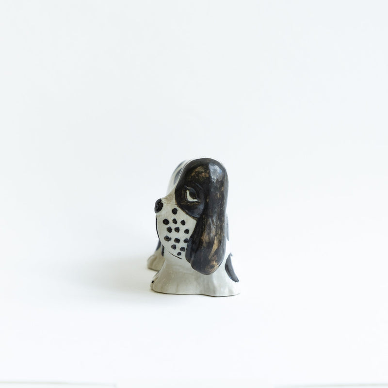 KENNEL Spaniel spotted