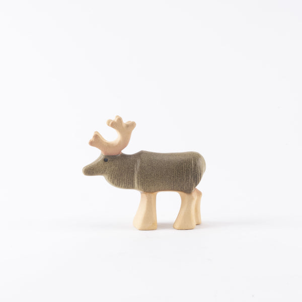 Reindeer（トナカイ）