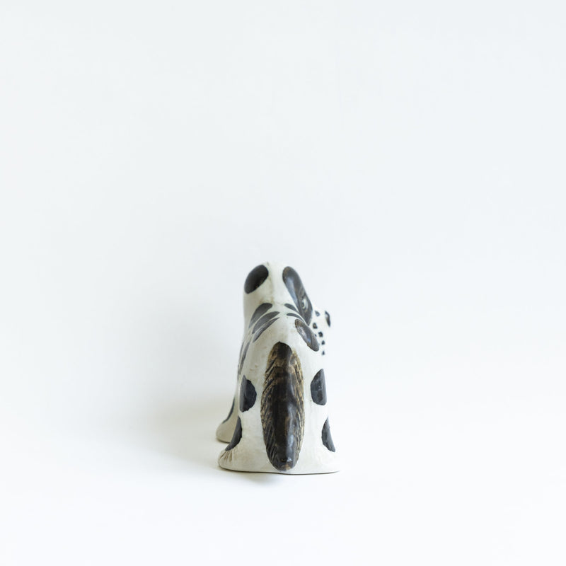 KENNEL Spaniel spotted