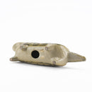 斯托拉動物園貓站立