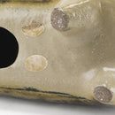 斯托拉動物園貓站立