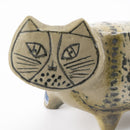 斯托拉動物園貓站立