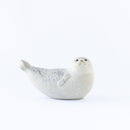 JIE Knubbsäl（ゴマフアザラシ）