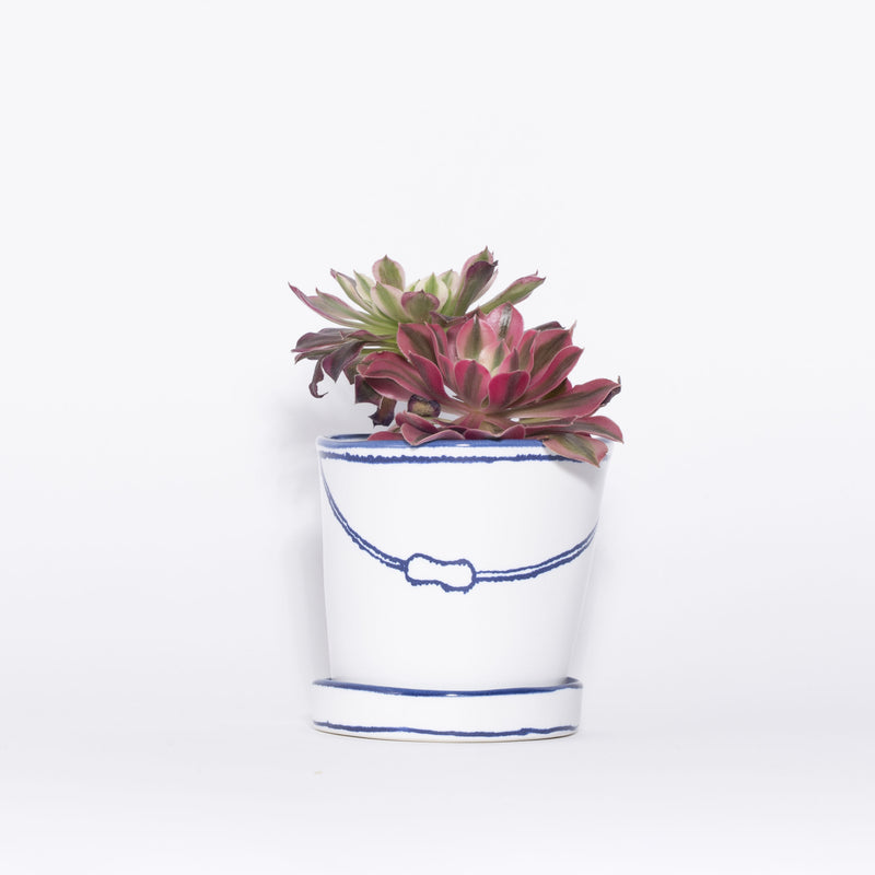 特集_Marianne Hallberg_バケツの植木鉢