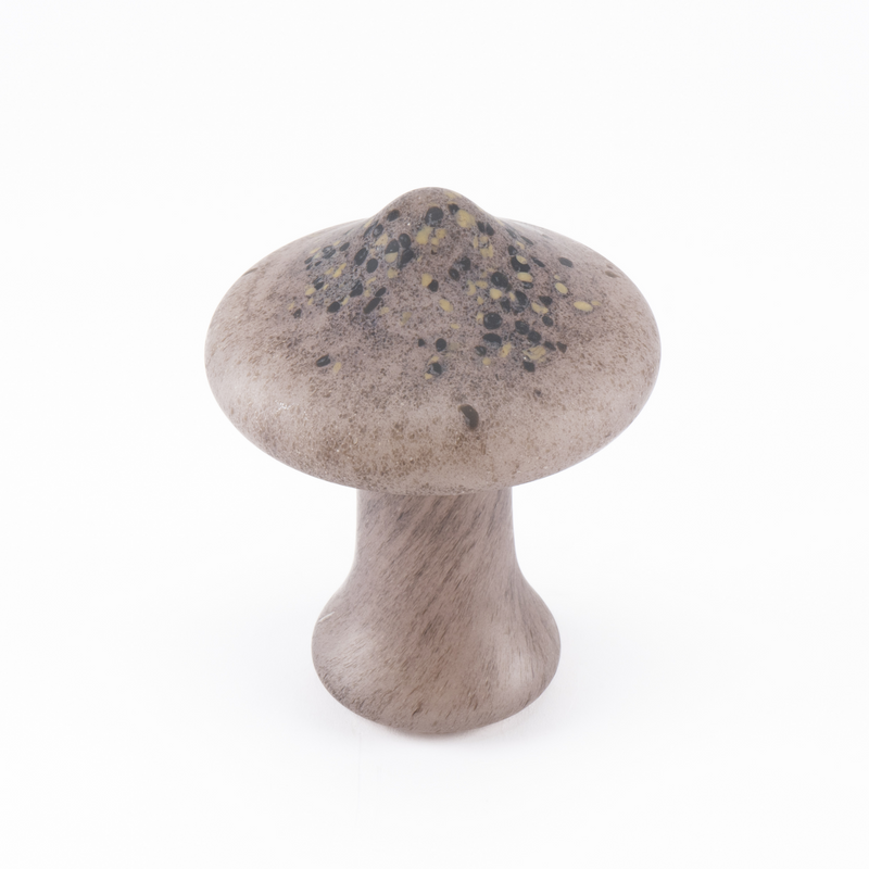 [蘑菇]fjällskivling