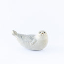 JIE Knubbsäl（ゴマフアザラシ）