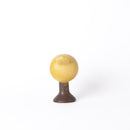 鳥Tekla（黃色）第54號