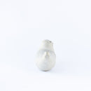 JIE Knubbsäl（ゴマフアザラシ）