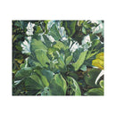 L'ORIGINE DE L'HOMME