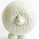 狗窩雙胞胎貴賓犬（右）_ akita展覽