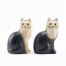 mulle培養基（黑色1）