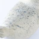 JIE Knubbsäl（ゴマフアザラシ）