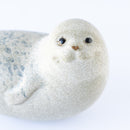 JIE Knubbsäl（ゴマフアザラシ）