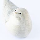 JIE Knubbsäl（ゴマフアザラシ）