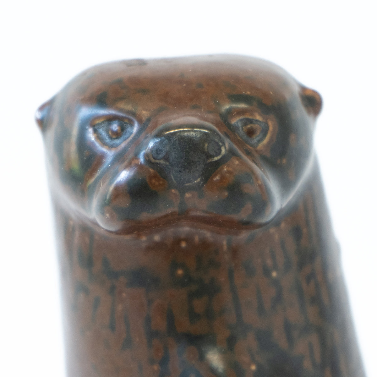 カワウソ① JIE UTTER(カワウソ)