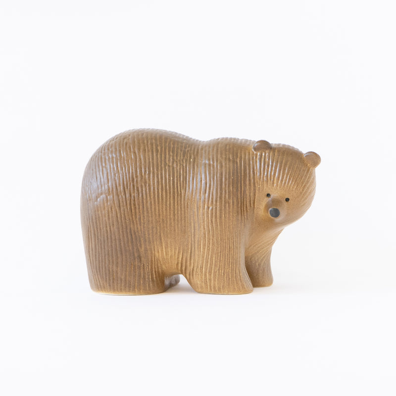 Bear medium