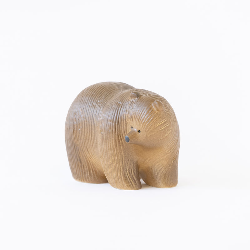 Bear medium