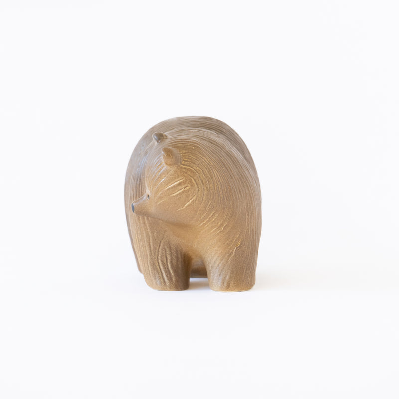 Bear medium