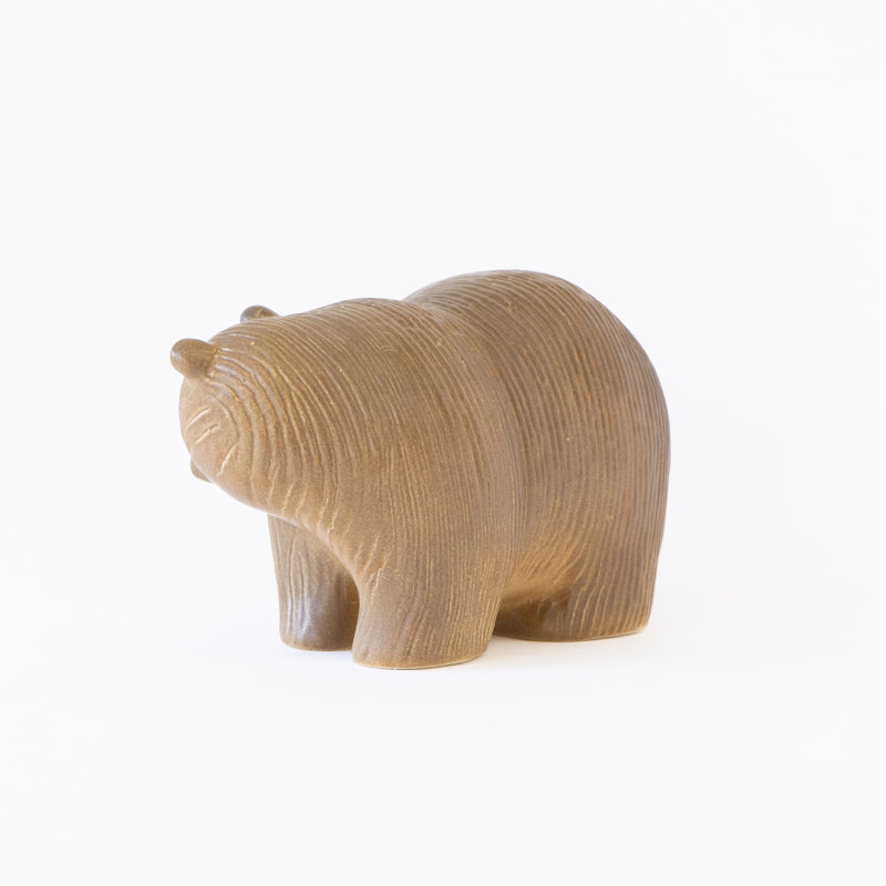 Bear medium