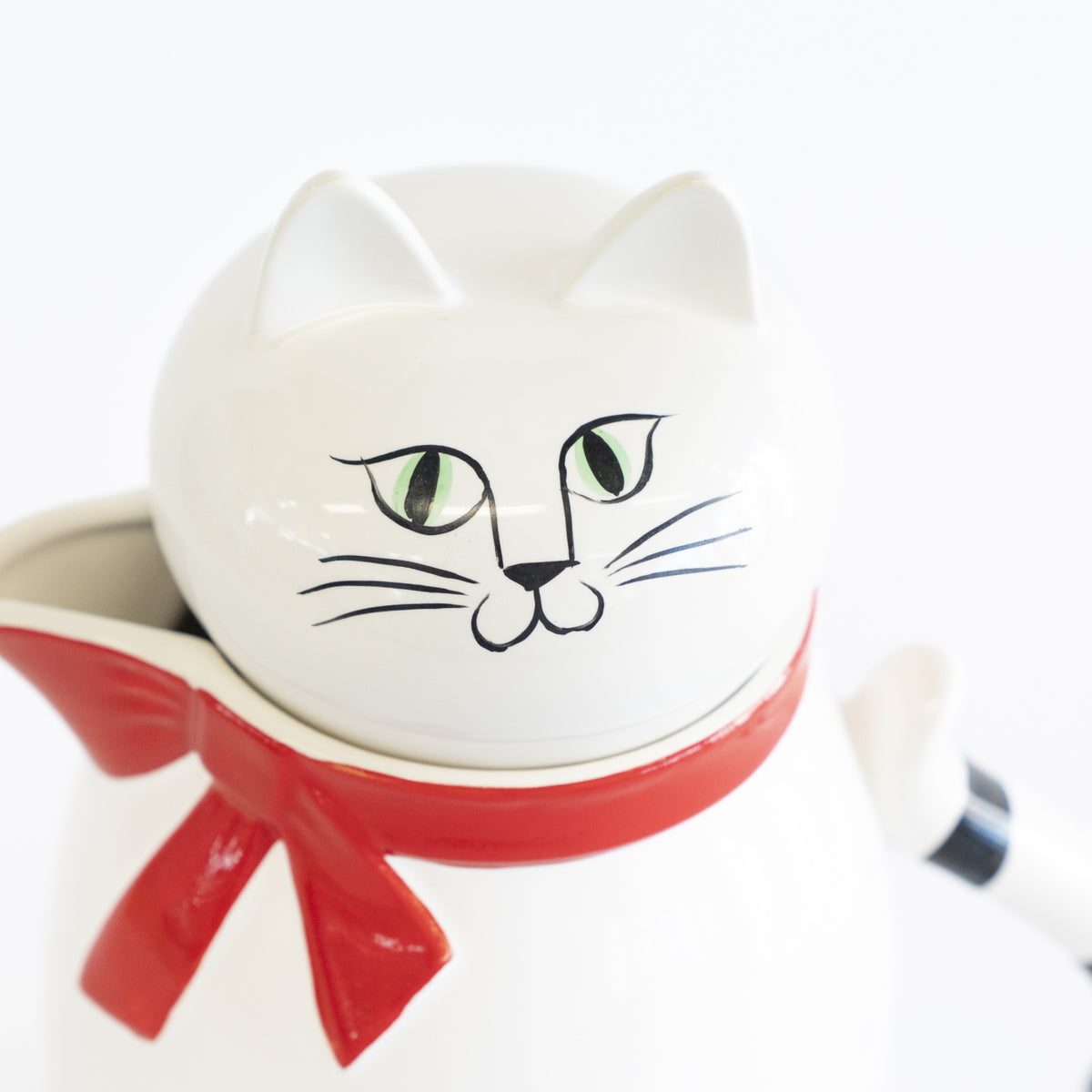 Cat pitcher