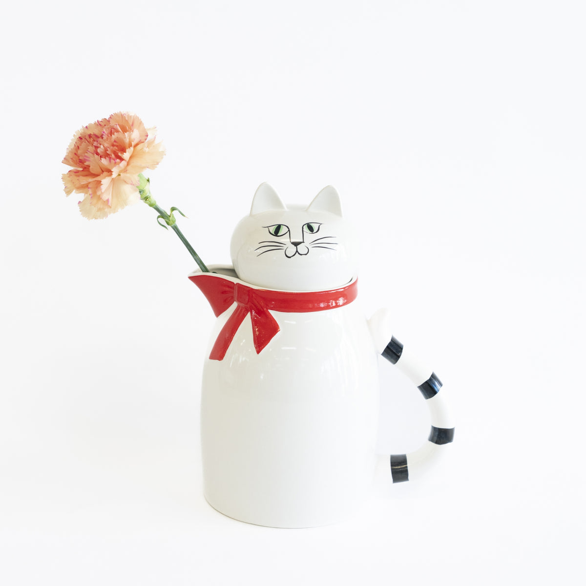 Cat pitcher