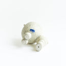 狗窩雙胞胎貴賓犬（右）_ akita展覽